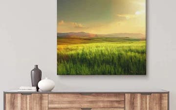 Large Canvas Prints