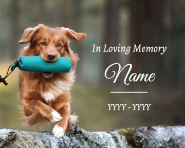 Picture of In Loving Memory- 16x20