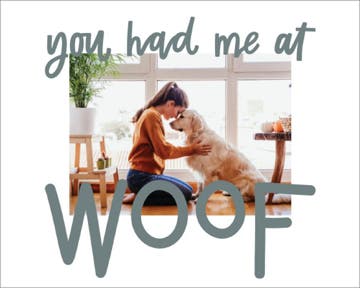 Picture of You had me at Woof- 16x20