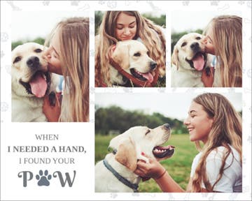 Picture of Paw- 16x20