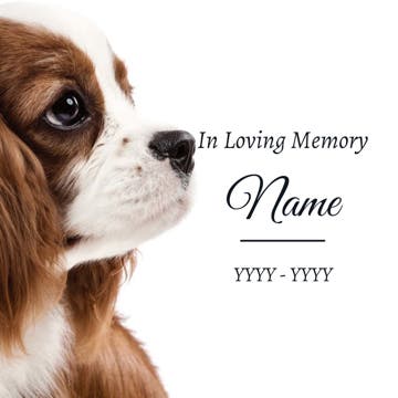 Picture of In Loving Memory - 8x8