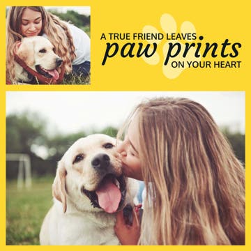 Picture of Paw prints - 12x12