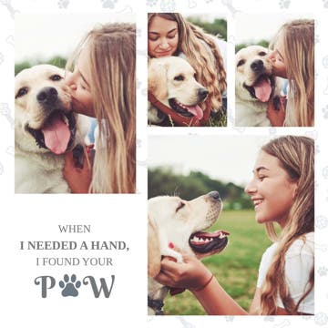 Picture of Paw - 12x12