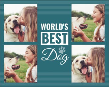 Picture of World's Best - 30x40