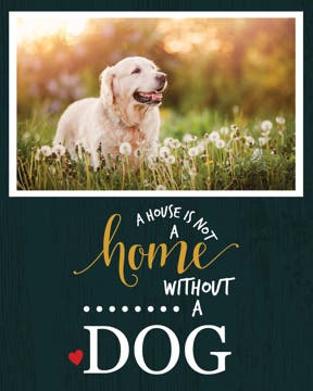 Picture of House is not a home - 14x11
