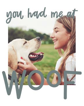 Picture of You had me at Woof - 20x16