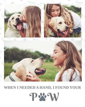 Picture of Paw - 40x30