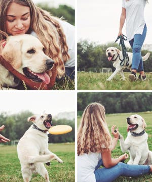 Picture of Blanket Collage -07 60x50 Sherpa