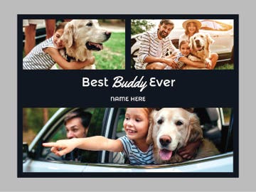 Picture of Pets-02 50x60 Fleece
