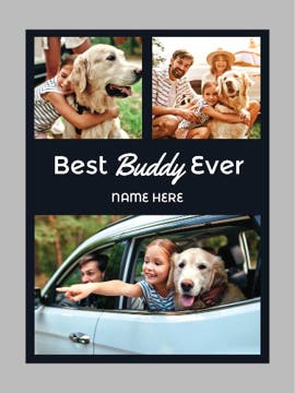 Picture of Pets-02 60x50 Sherpa