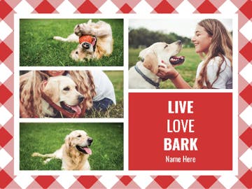 Picture of Pets-03 50x60 Fleece