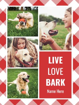 Picture of Pets-03 60x50 Sherpa