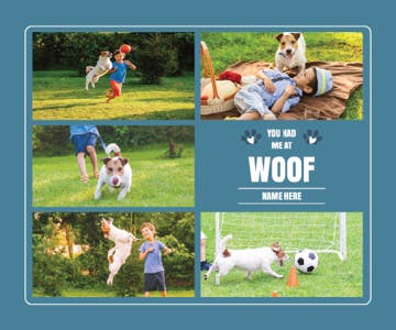 Picture of Pets-04 50x60 Fleece
