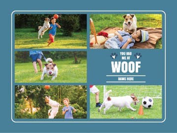Picture of Pets-04 60x80 Fleece