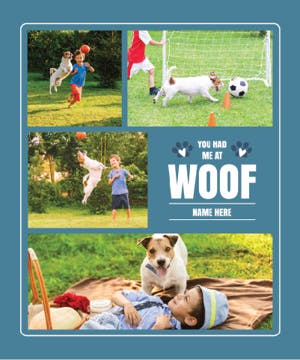 Picture of Pets-04 80x60 Plush (No Bleed)