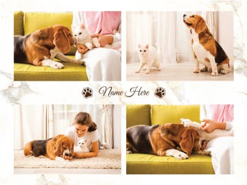 Picture of Pets-06 50x60 Fleece