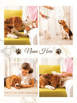 Picture of Pets-06 80x60 Plush (No Bleed)