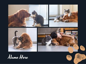 Picture of Pets-07 50x60 Sherpa