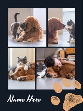 Picture of Pets-07 60x50 Sherpa