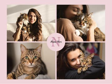 Picture of Pets-08 50x60 Sherpa