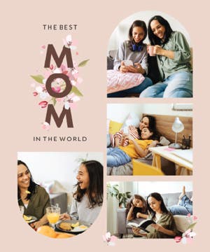 Picture of Parent-04 80x60 Sherpa