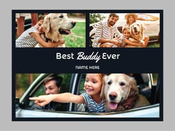 Picture of Pets-02 30x40 Plush Fleece (No Bleed)
