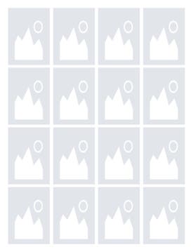 Picture of Collage Canvas-05 40x30 Fleece (Bleed)