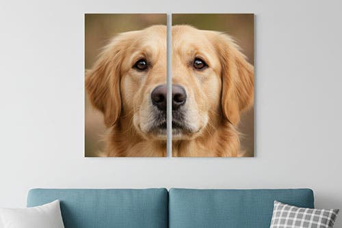 Split Canvas