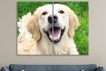 Picture for category Split Canvas