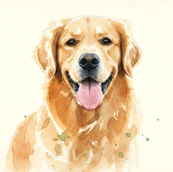 WaterColor