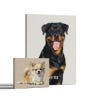 Picture of Pet Portrait