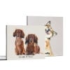 Picture of Pet Portrait