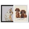 Picture of Pet Portrait