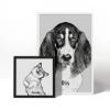 Picture of Pet Portrait