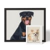 Picture of Pet Portrait