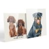 Picture of Pet Portrait