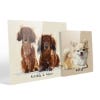 Picture of Pet Portrait