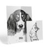 Picture of Pet Portrait