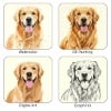 Picture of Pet Portrait