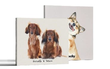 Picture for category Pet Portraits