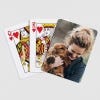 Picture of Playing Cards