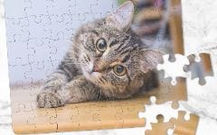 Photo Puzzles