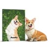 Picture of Pet Portrait