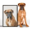 Picture of Pet Portrait