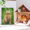 Picture of Pet Portrait