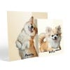 Picture of Pet Portrait