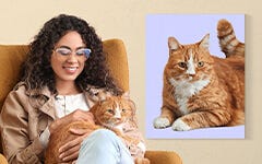 Pet Portraits