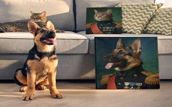 Picture of Military Renaissance Pet Portraits