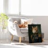 Picture of Military Renaissance Pet Portraits