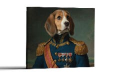 Military Renaissance